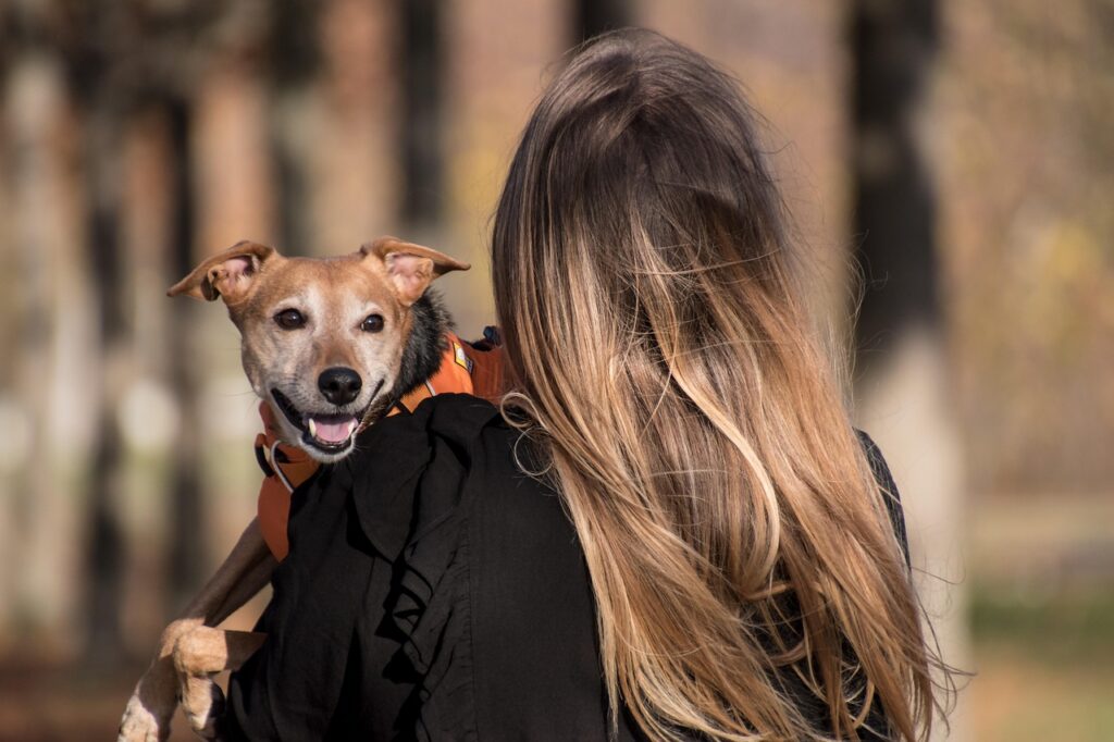 犬の口臭を改善するための効果的な対策は？